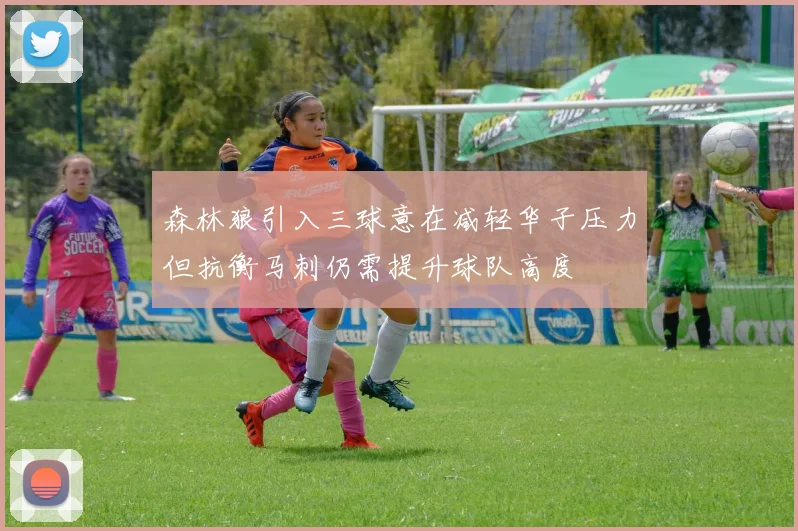 森林狼引入三球意在减轻华子压力但抗衡马刺仍需提升球队高度